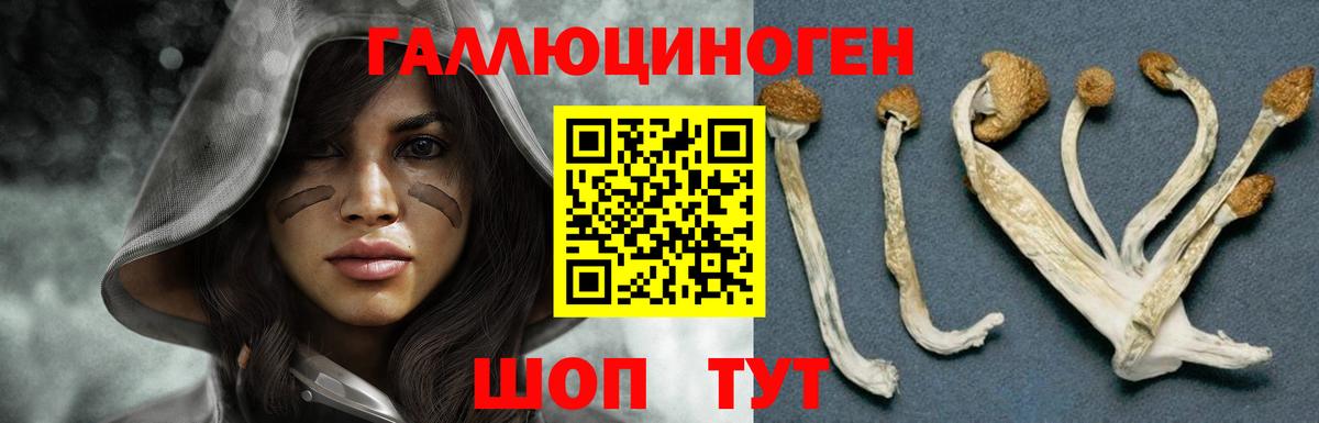 Искитим  Галлюциногенные грибы мицелий  Вход с VPN 